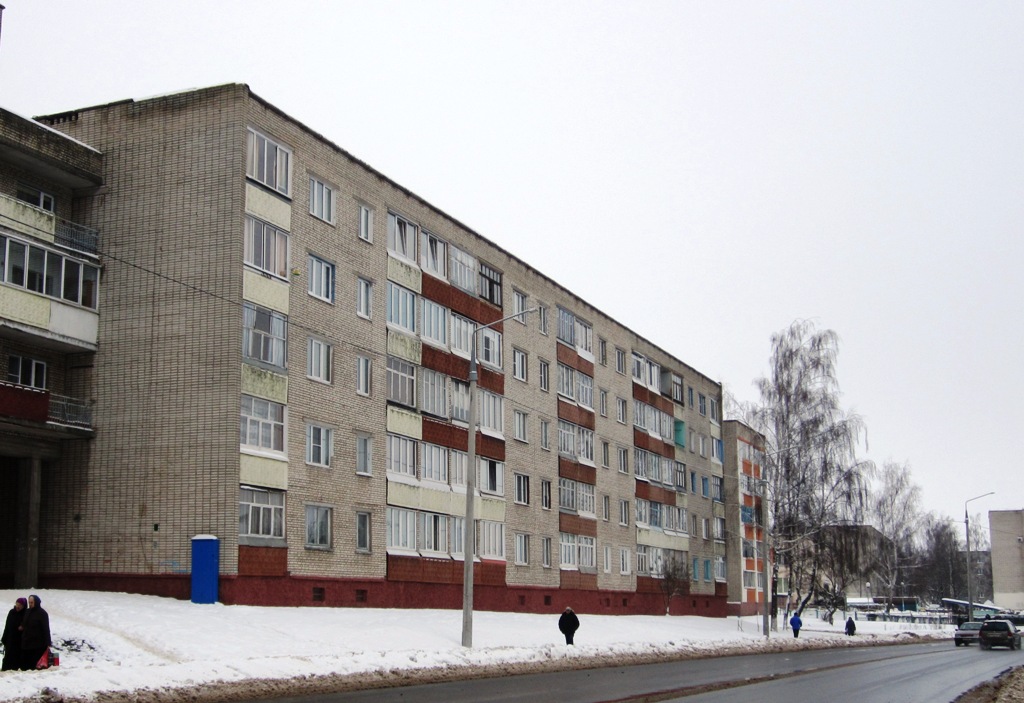 Рогачёв, Улица Ленина, 105