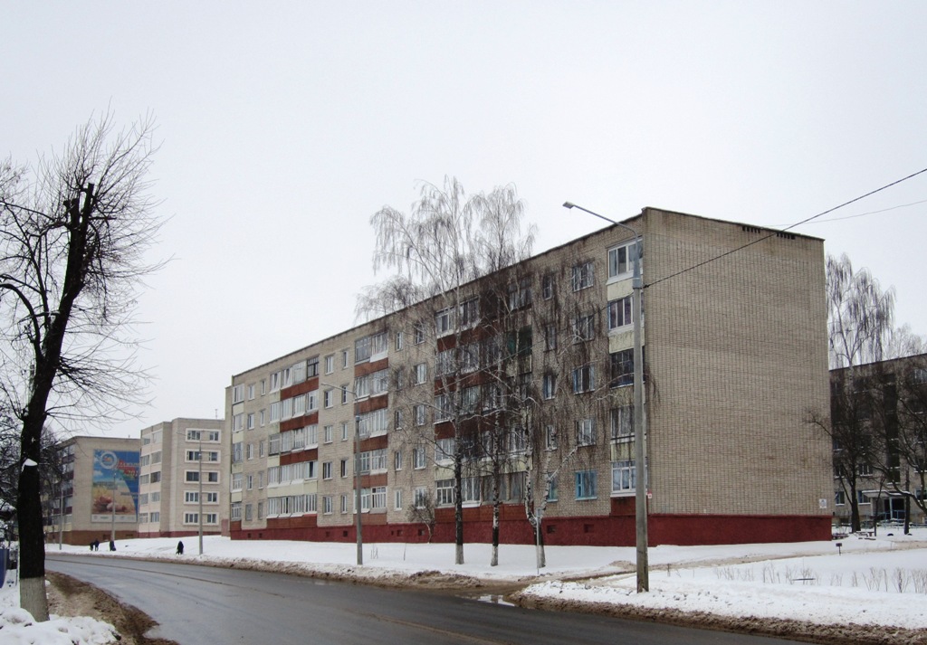 Рогачёв, Улица Ленина, 105