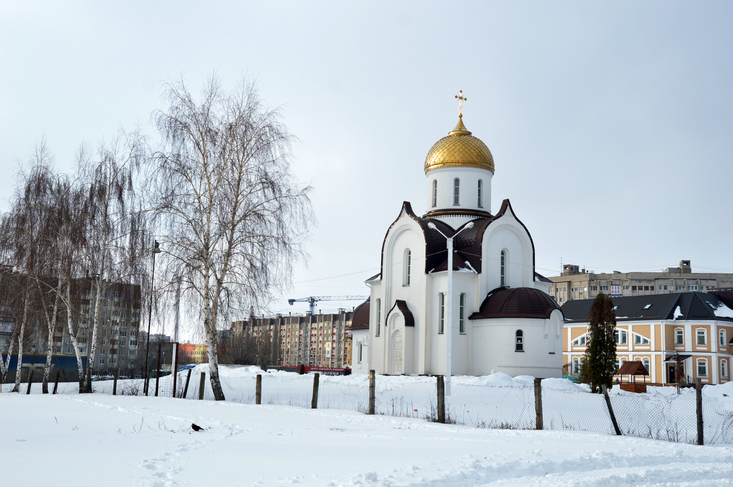 Воронеж, Улица Владимира Невского, 48/1 корп. 2