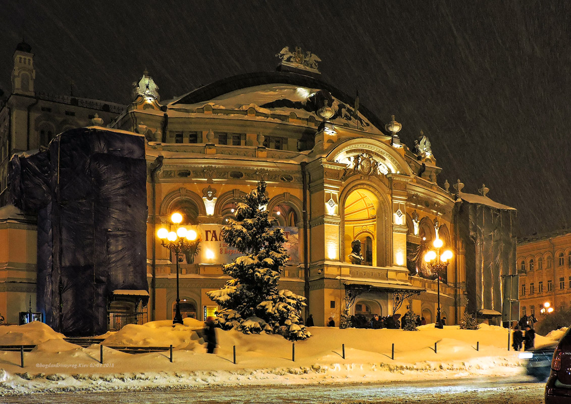 Kyiv, Владимирская улица, 50