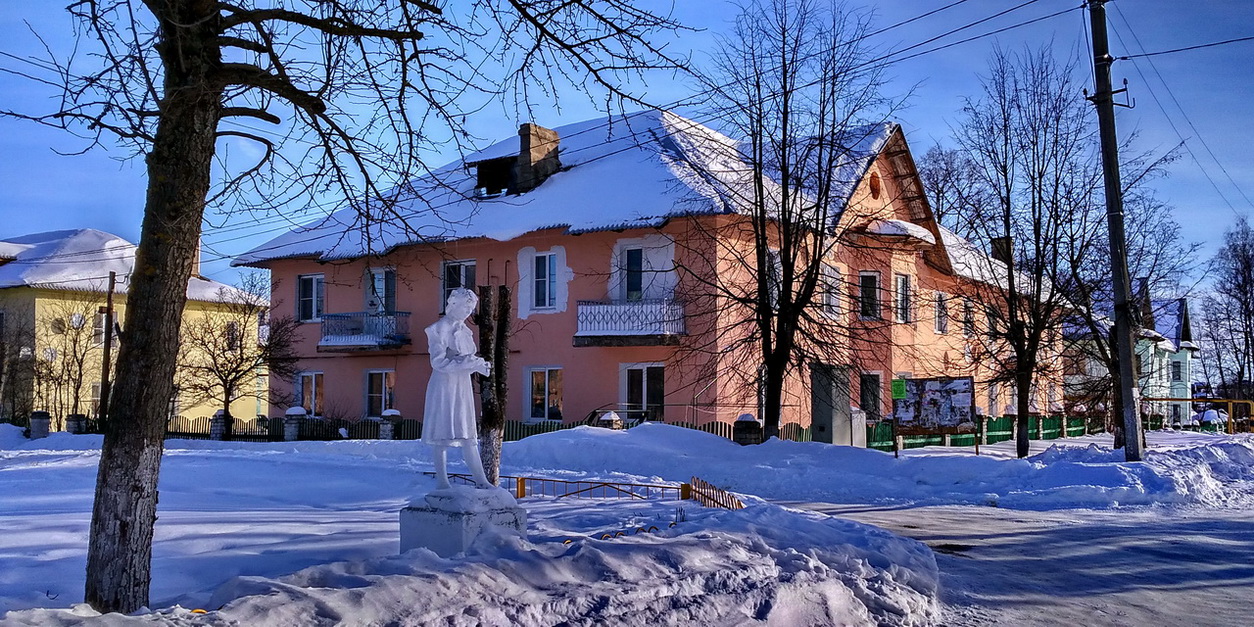 Переславский район, прочие н.п., пос. Ивановское, улица Ленина, 6