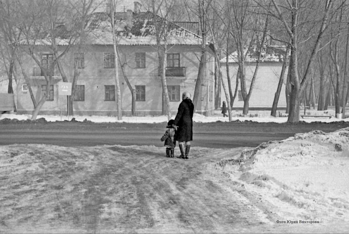 Воронеж, Улица Димитрова, 105; Улица Обручева, 1