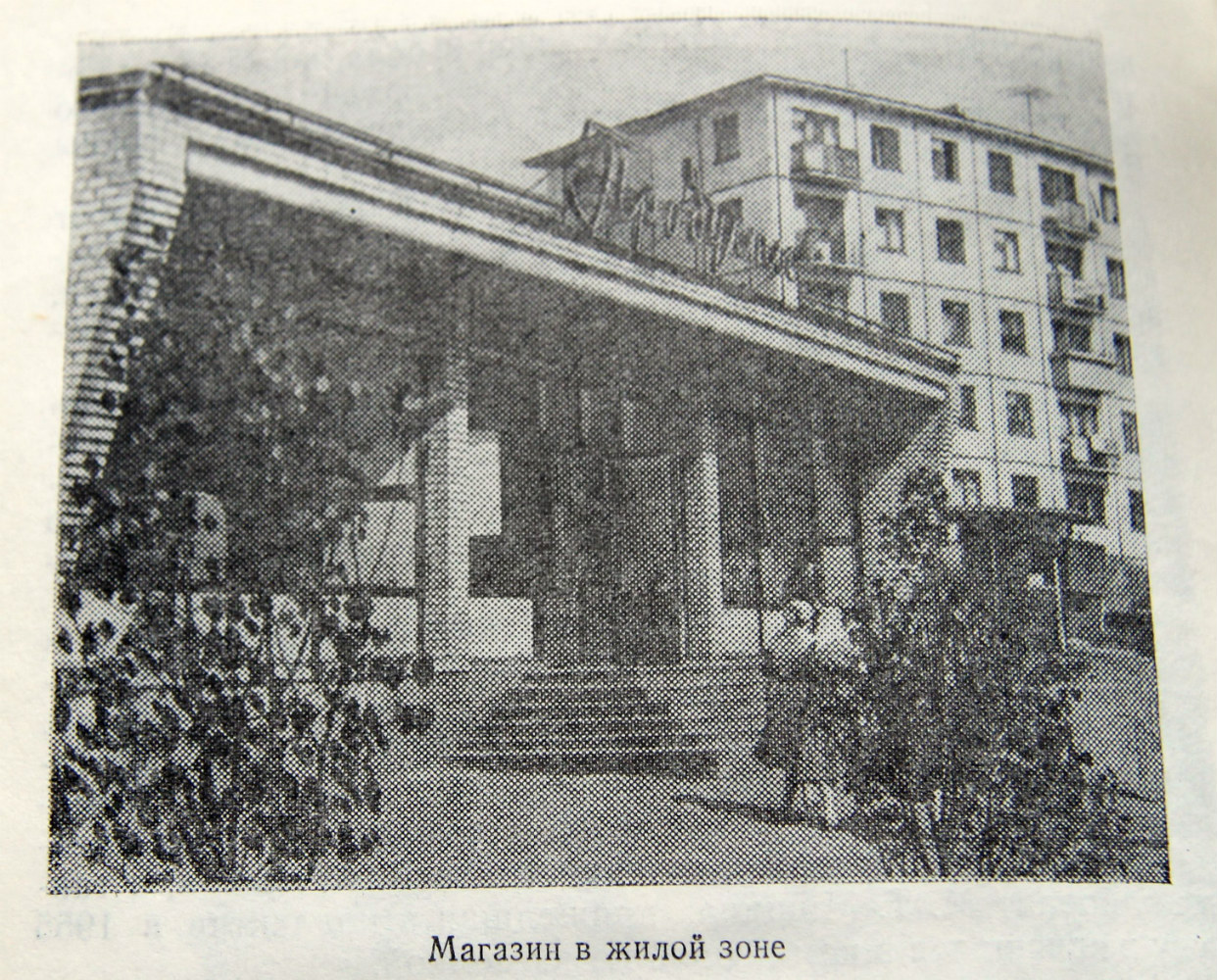 Ефремов, Улица Дружбы, 49; Улица Дружбы, 47