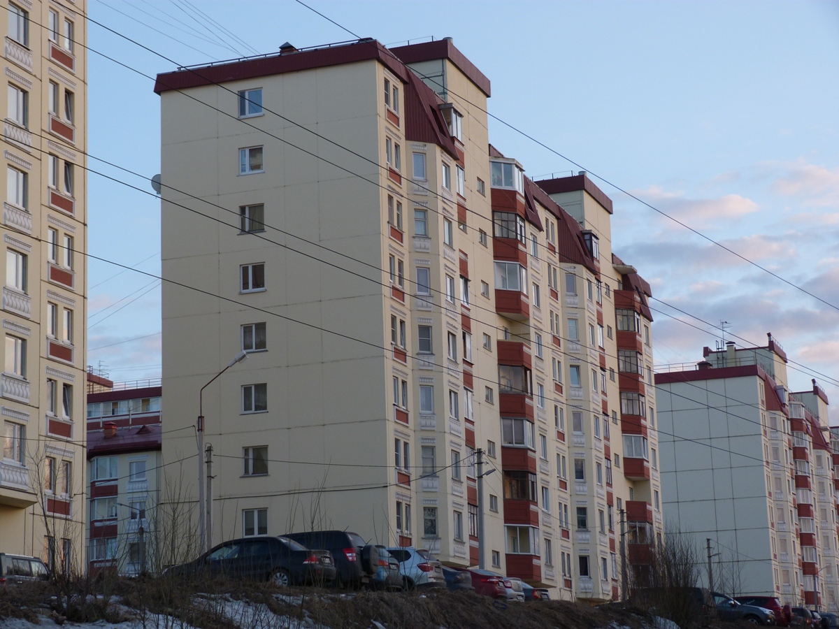 Петрозаводск, Улица Лизы Чайкиной, 12