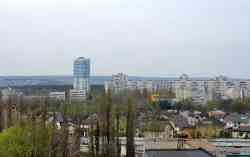 446 КБ
