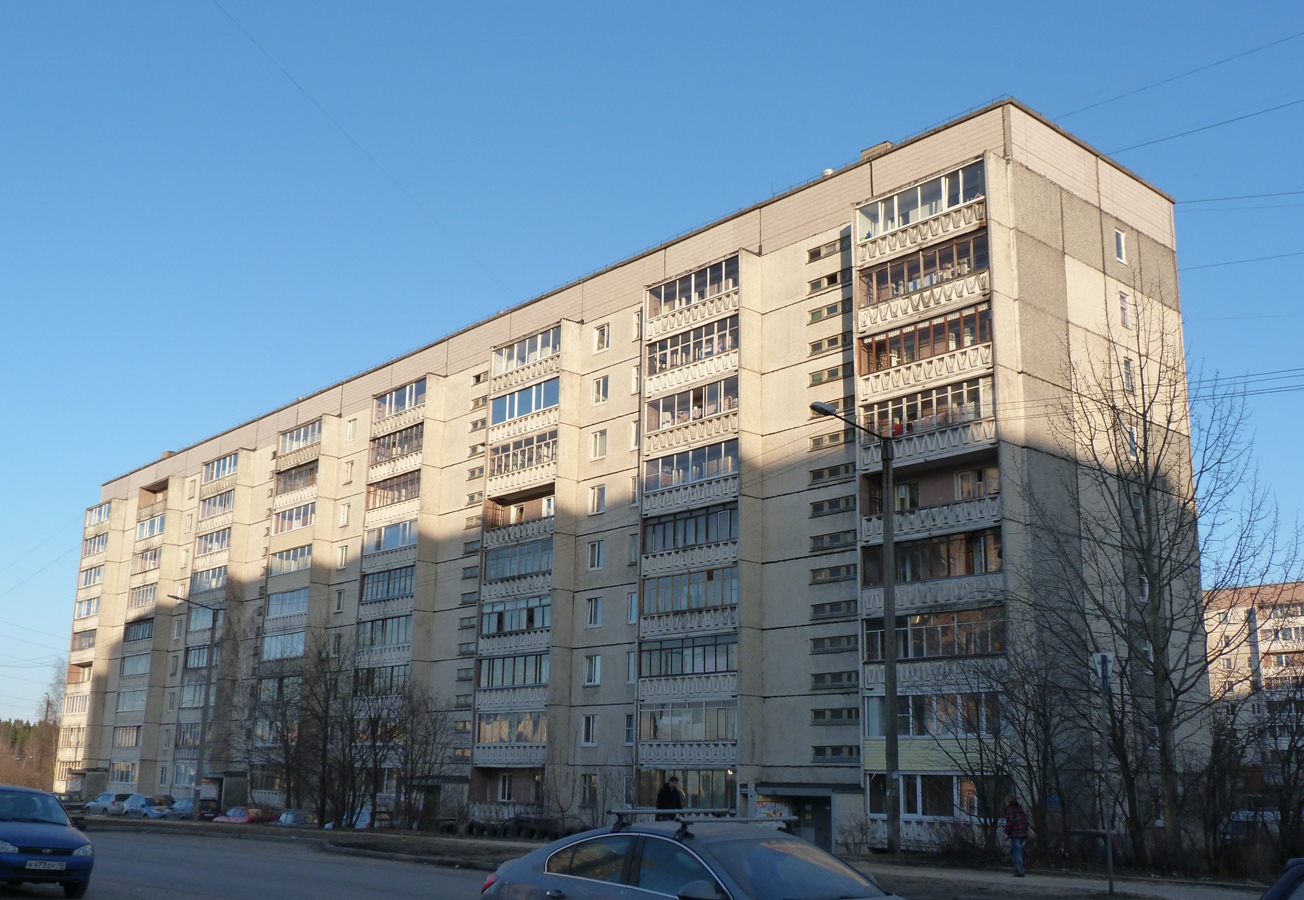 Петрозаводск, Улица Древлянка, 1