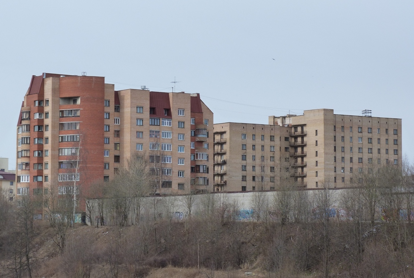 Петрозаводск, Улица Анохина, 1; Улица Анохина, 1А