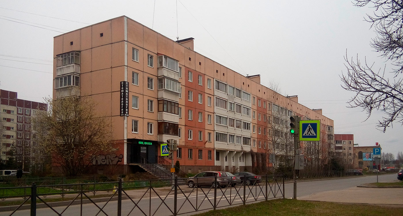 Всеволожск, Александровская улица, 81 корп. 1