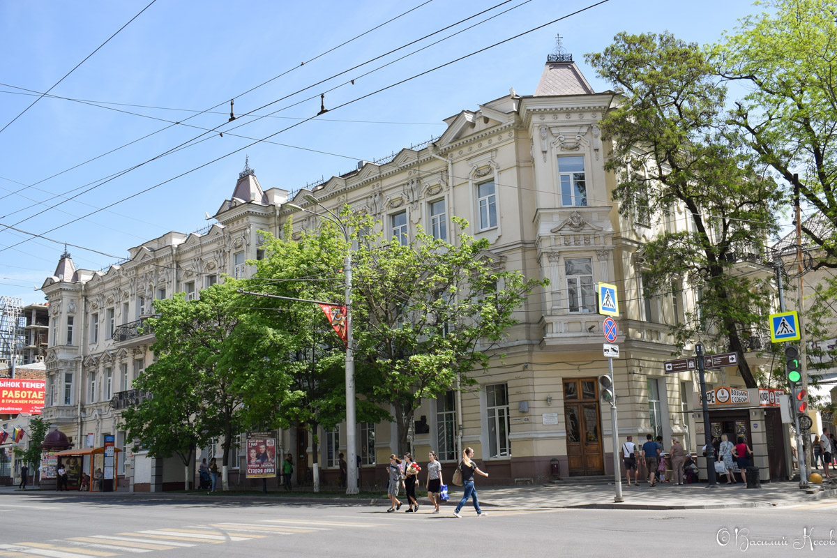 Ростов-на-Дону, Большая Садовая улица, 106