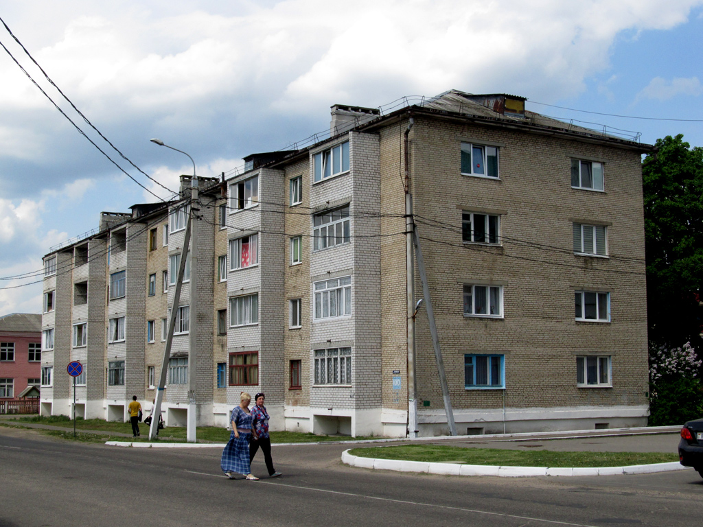 Осиповичи, Ленинская улица, 100