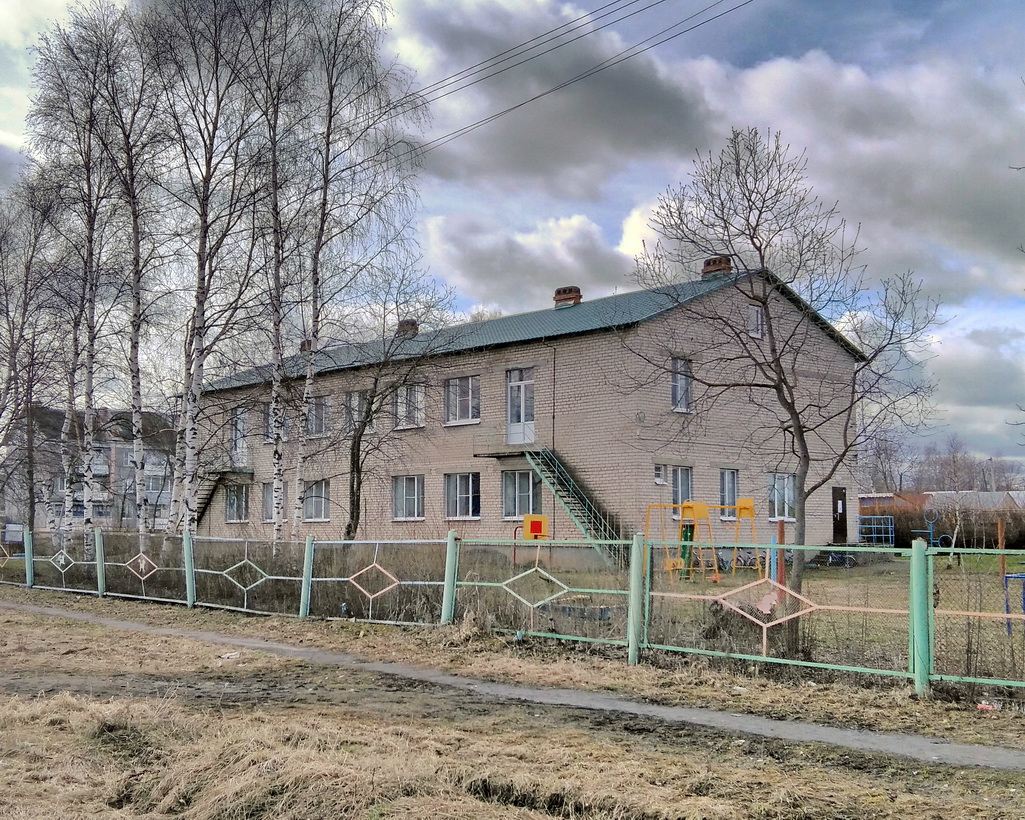 Гаврилов-Ямский район, прочие н.п., С. Шопша, улица Центральная, 2