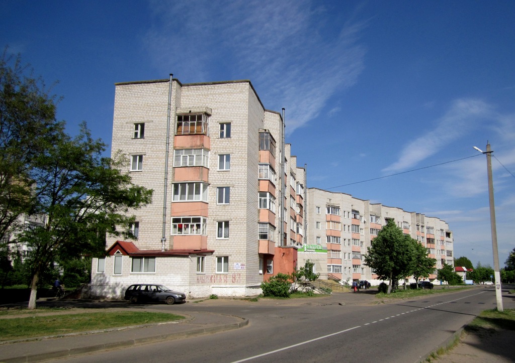 Рогачёв, Набережная улица, 83