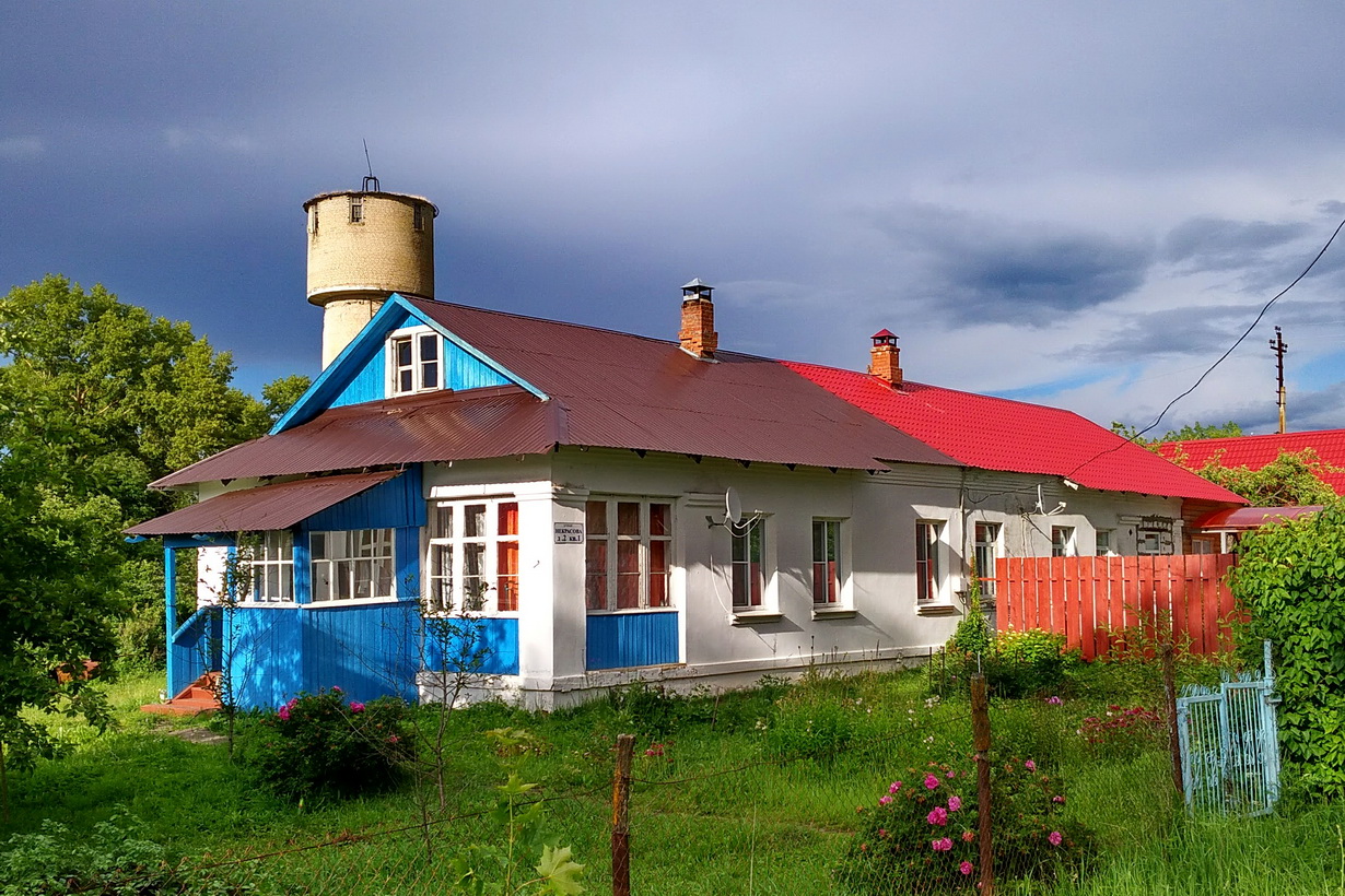 Переславский район, прочие н.п., С. Берендеево, улица Некрасова, 2