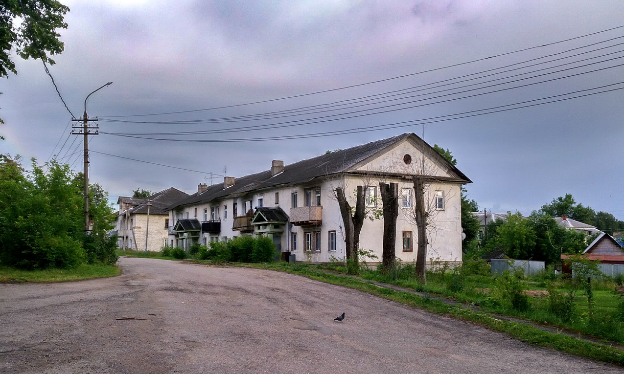 Переславский район, прочие н.п., с. Берендеево, улица Горького, 3