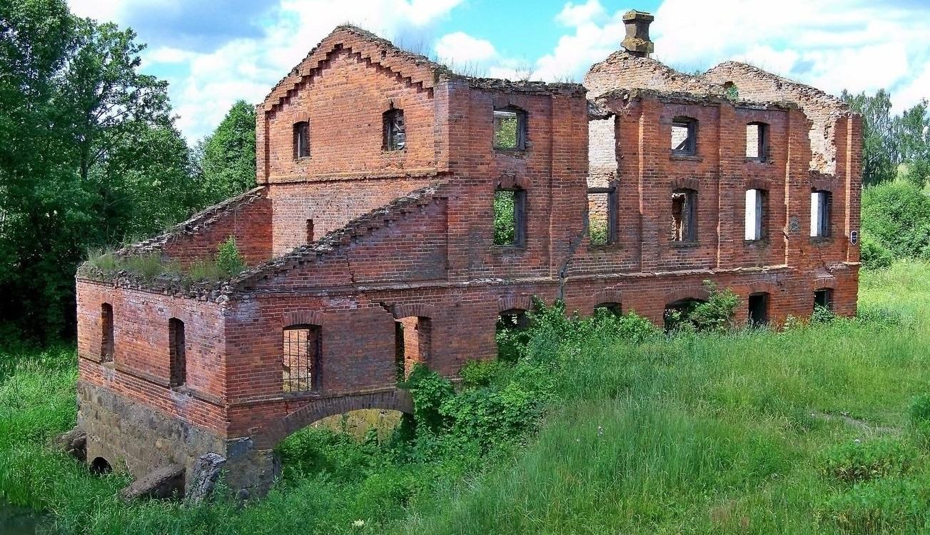 Толочинский район, прочие н. п., Каменное Кривое