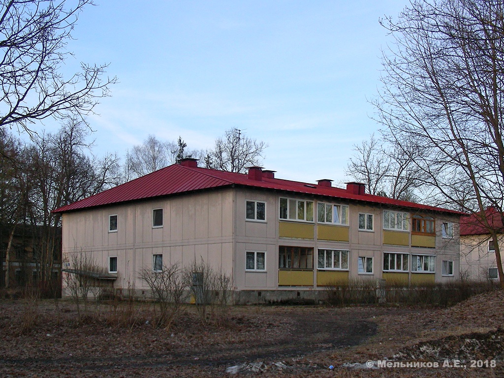 Псков, Зелёный переулок, 1