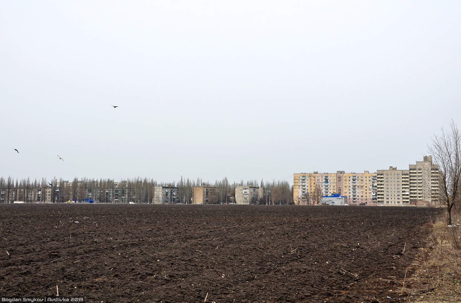 Авдеевка, Молодёжная улица, 20; Улица Воробьёва, 15