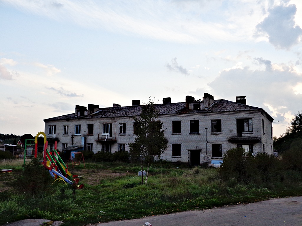 Всеволожский район, прочие н. п., Лепсари, 32