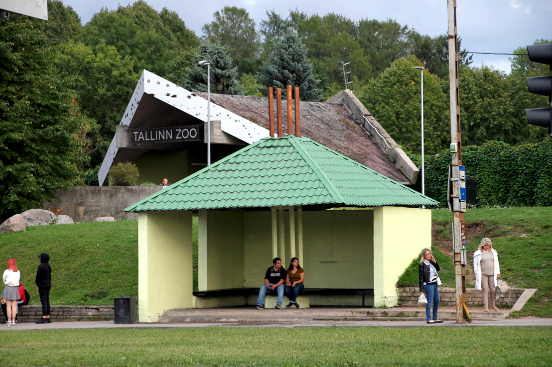 Tallinn, Katusealune