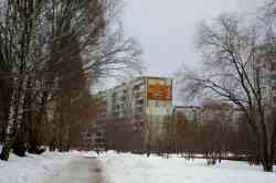 344 КБ
