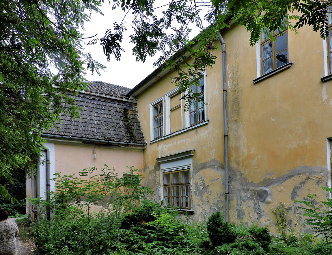 Lviv district, others settlements, с. Неслухов, Научная улица, ?
