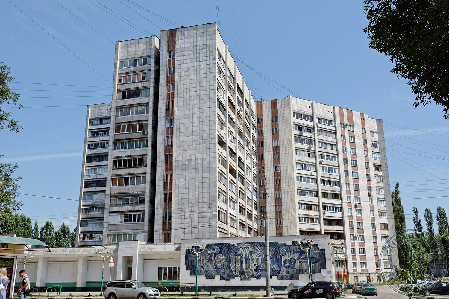 Воронеж, Улица Олеко Дундича, 25
