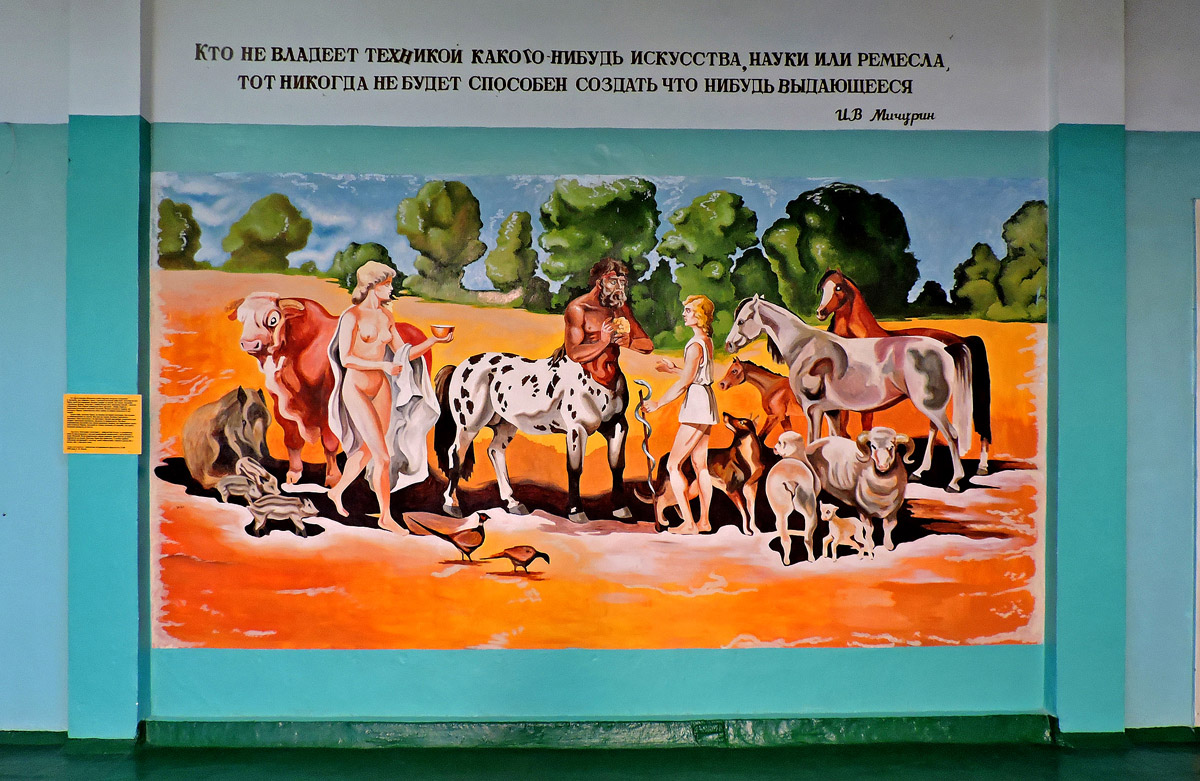 Малая Даниловка, Академическая улица, 1 корп. 8