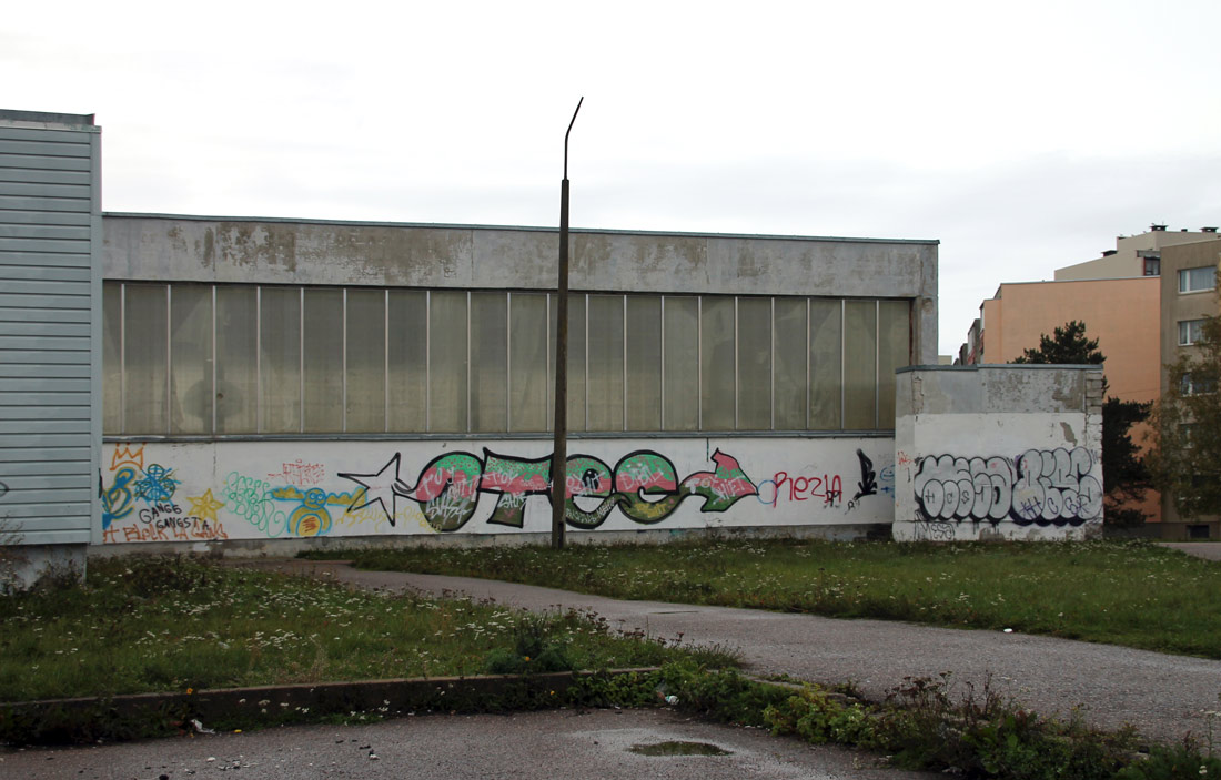 Таллин, Raadiku, 10