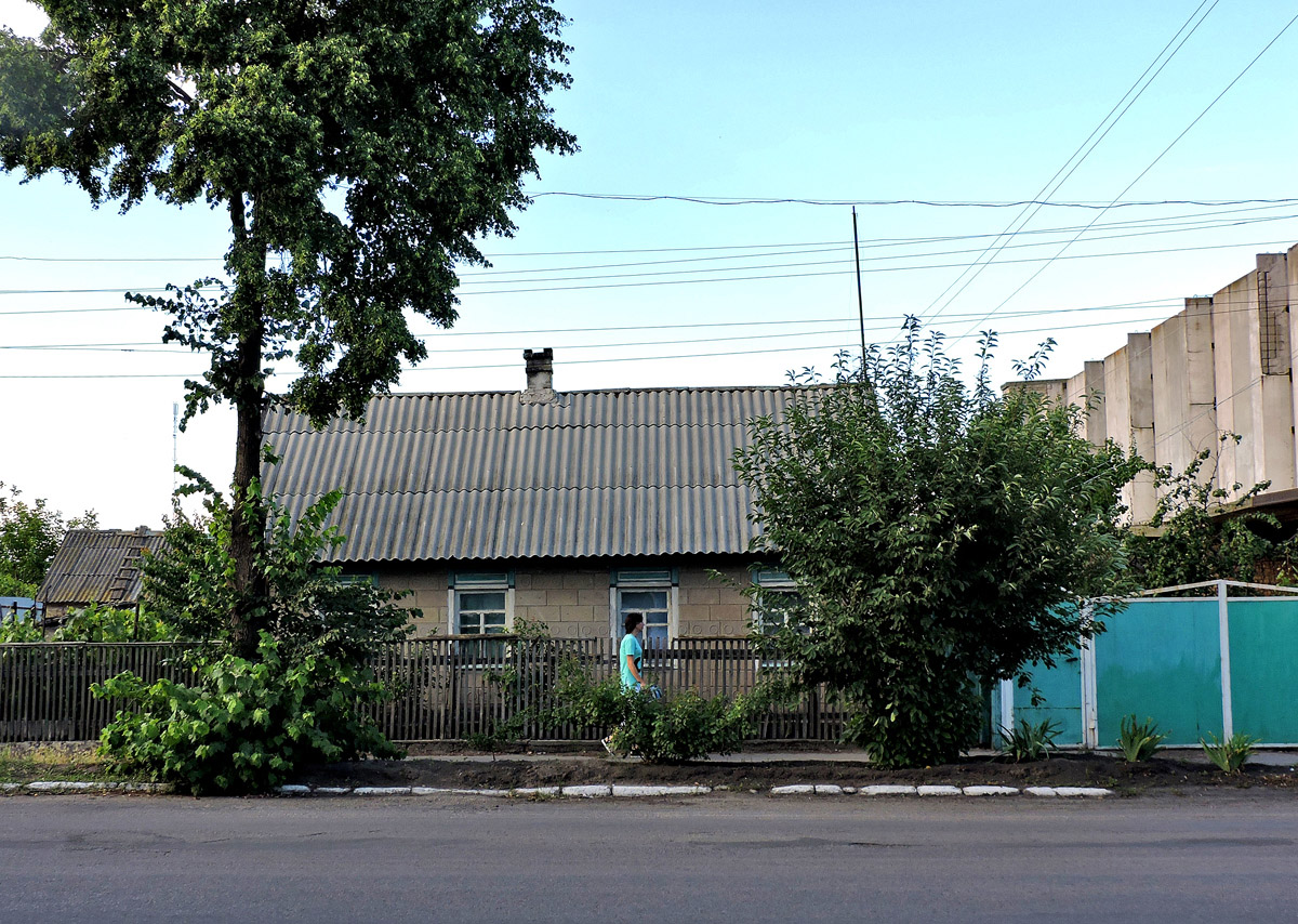 Каменка-Днепровская, Центральная улица, 13