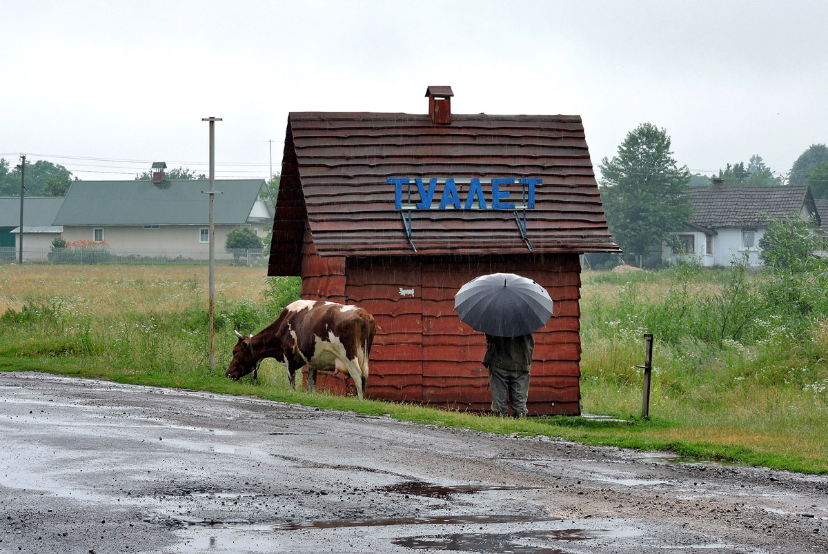 Золочевский район, прочие н.п., с. Подгорцы, улица Грушевского, ?
