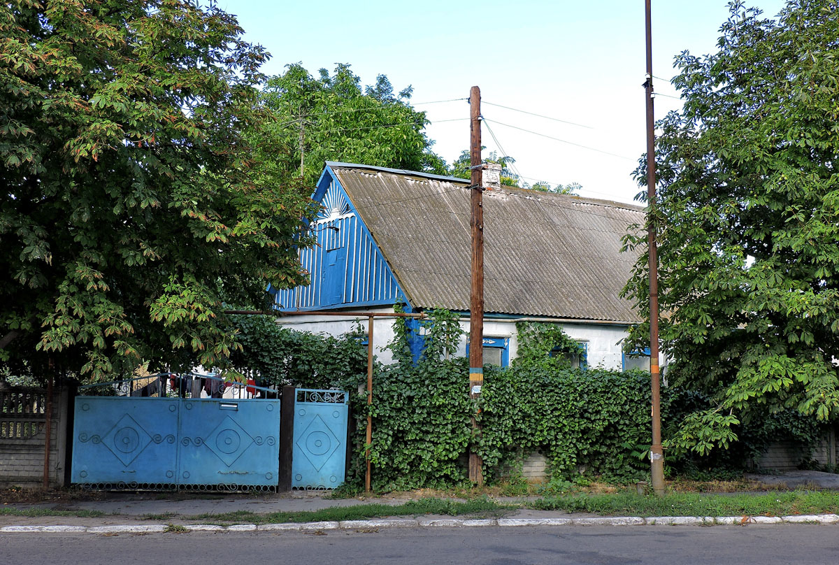 Каменка-Днепровская, Центральная улица, 1