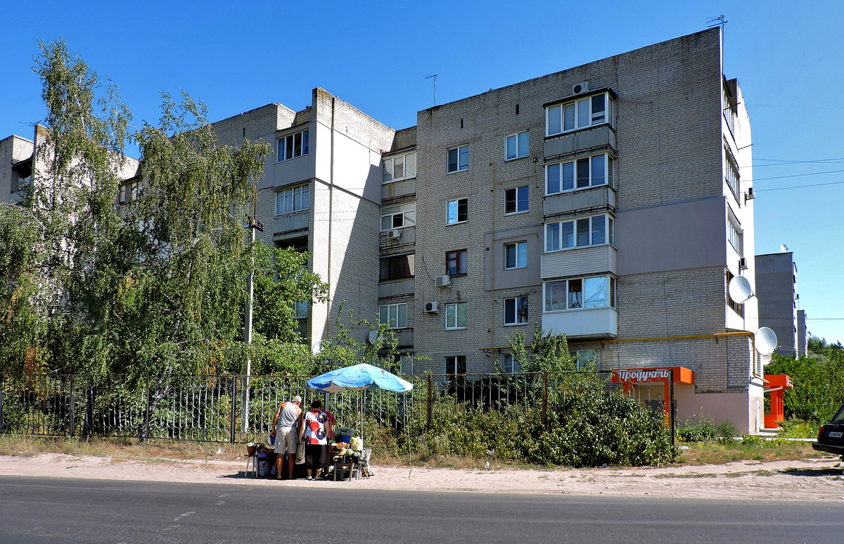Васищево, Улица Орешкова, 83Б