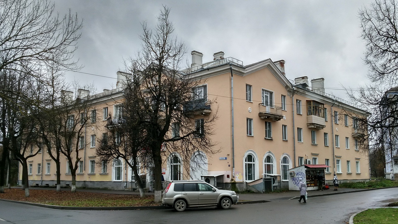 Псков, Улица Герцена, 8