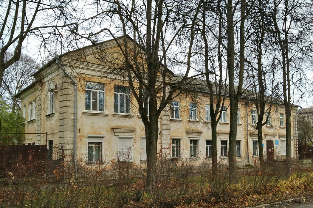 Псков, Улица Металлистов, 29