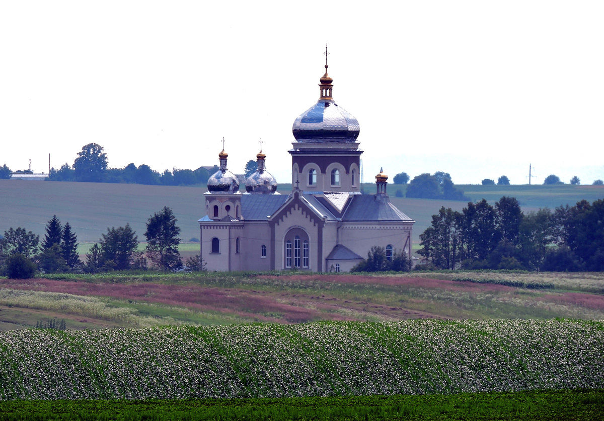 Львовский район, прочие н.п., с. Вислобоки, Львовская улица, ?
