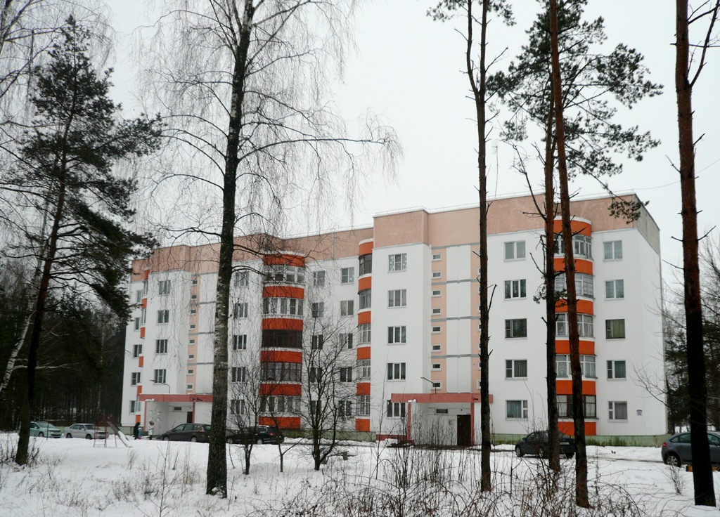 Рогачёв, Улица Сергея Кирова, 50