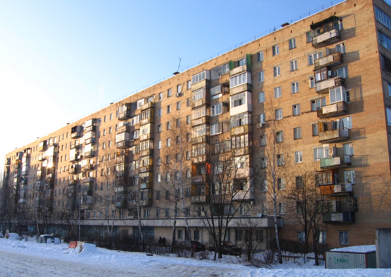 Долгопрудный, Улица Академика Лаврентьева, 29