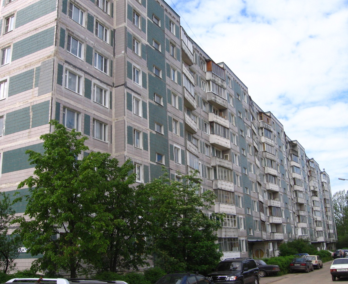 Долгопрудный, Молодежная улица, 10