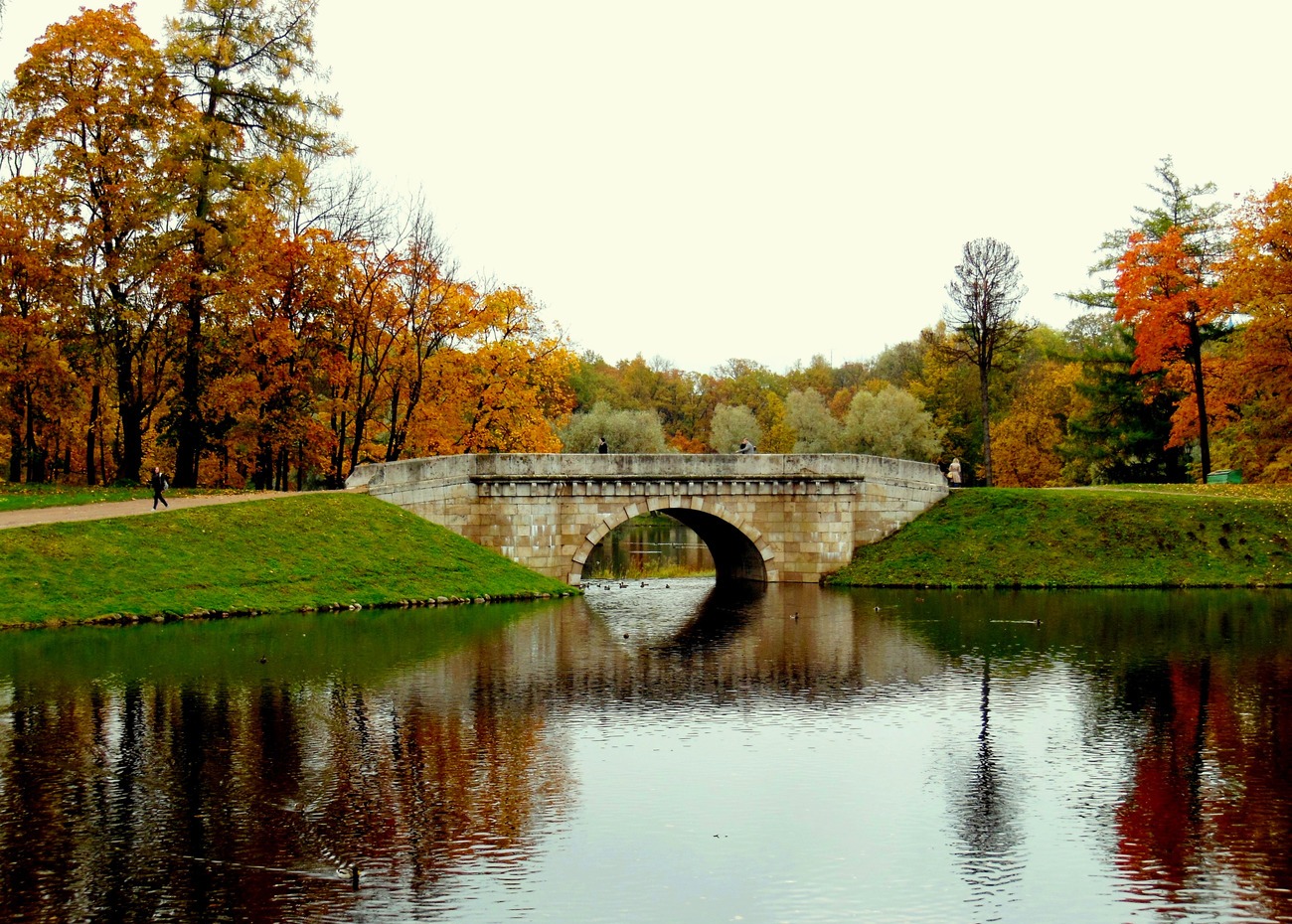 Gatchina, Дворцовый парк, Карпин мост