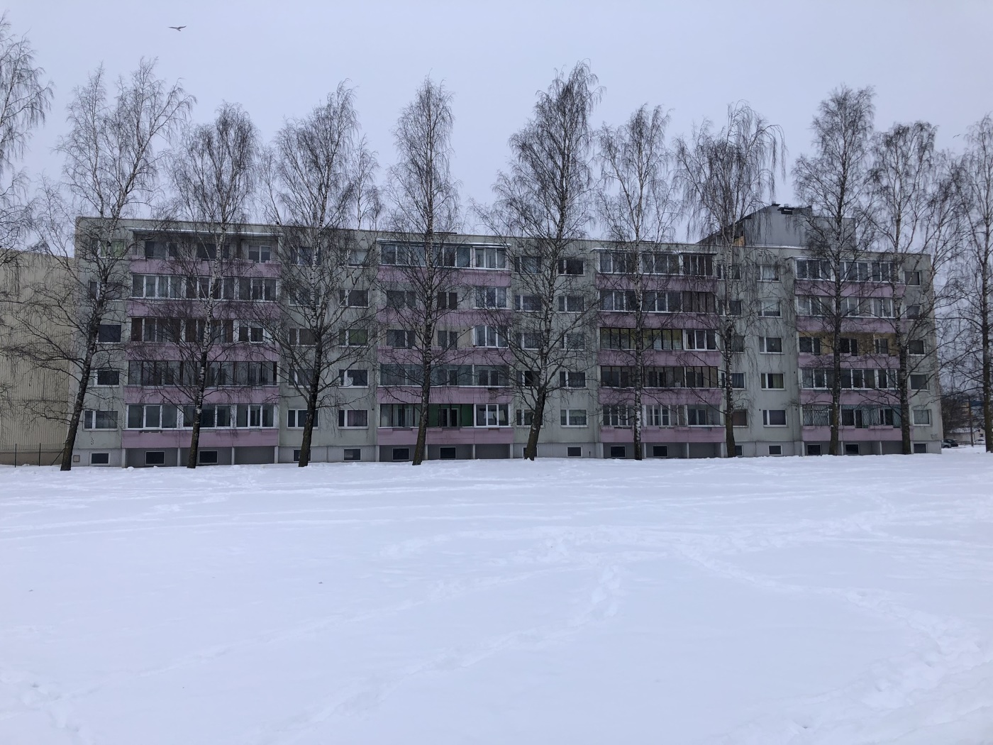 Таллин, Mahtra, 20
