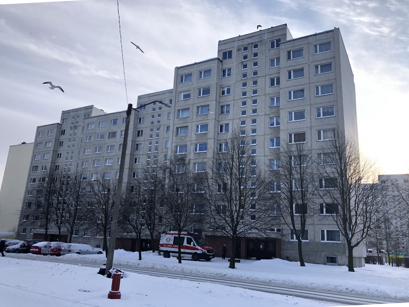 Таллин, Linnamäe tee, 8