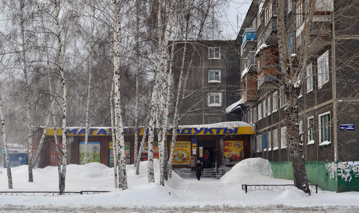 Омск, Улица Романенко, 10А корп. 1