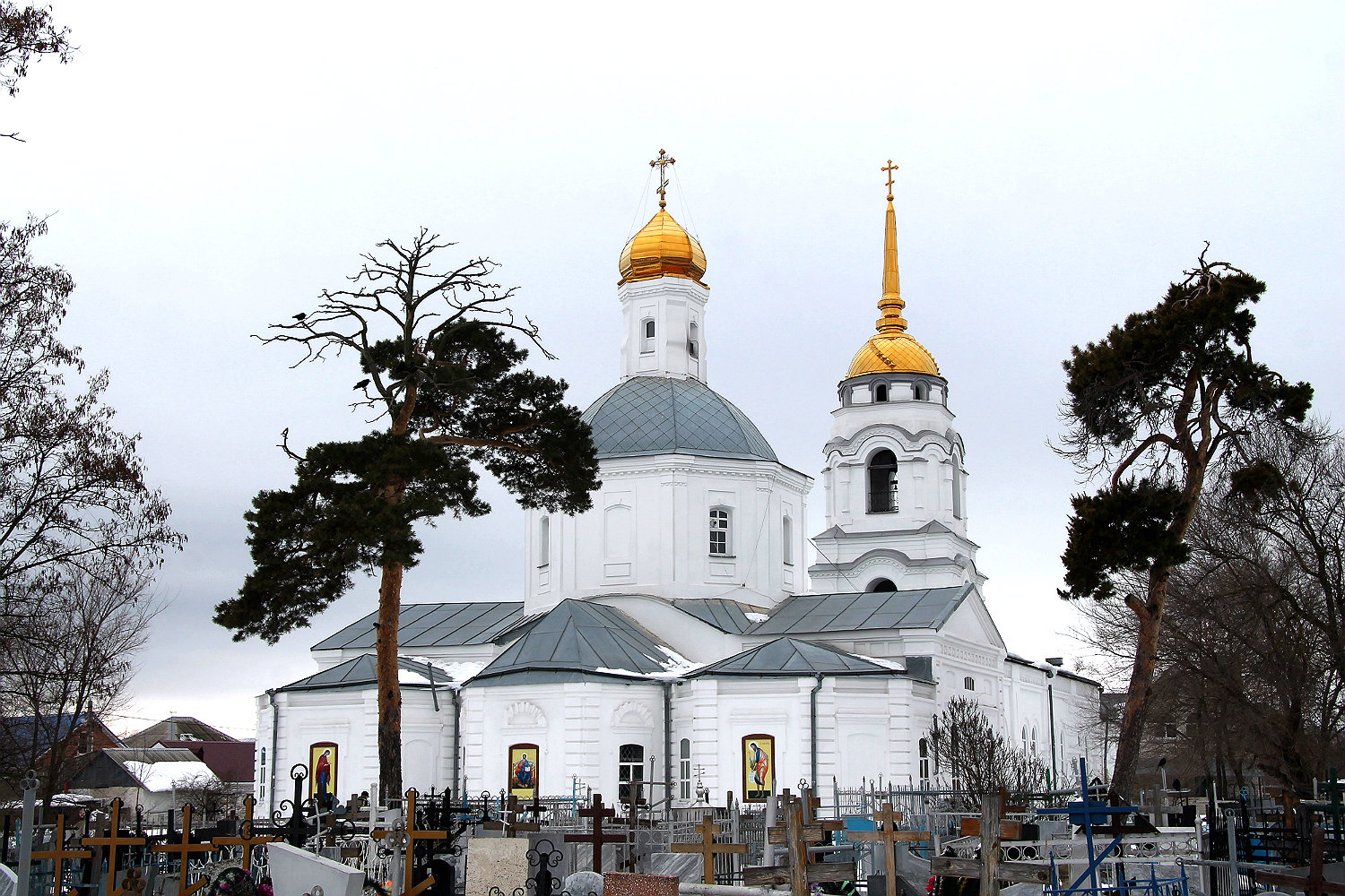 Воронеж, Улица Павлуновского, 9