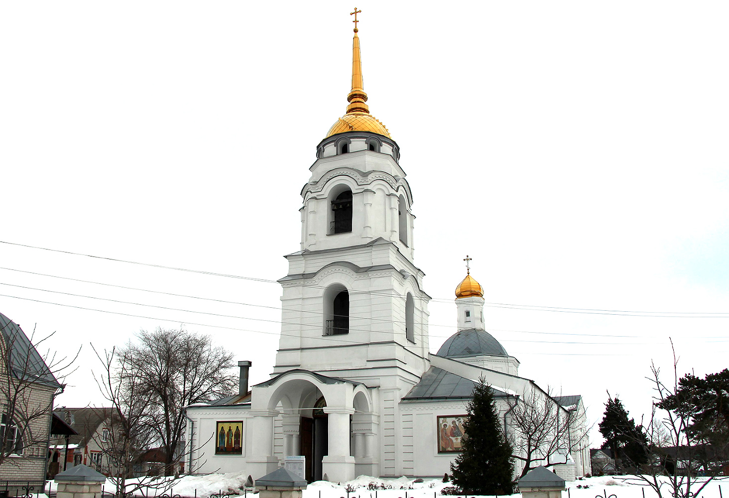 Воронеж, Улица Павлуновского, 9