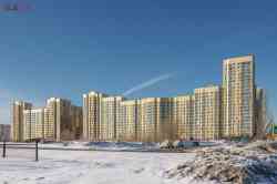 353 КБ