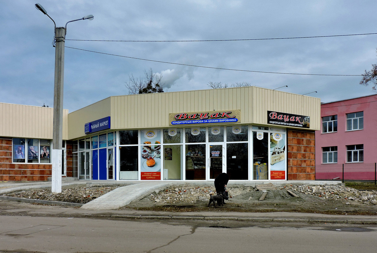 Харьков, Кронштадтская улица, 17/1