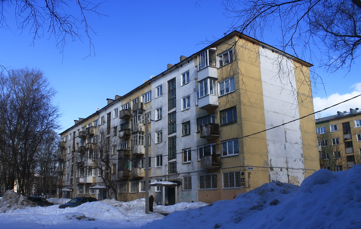 Березники, Юбилейная улица, 55