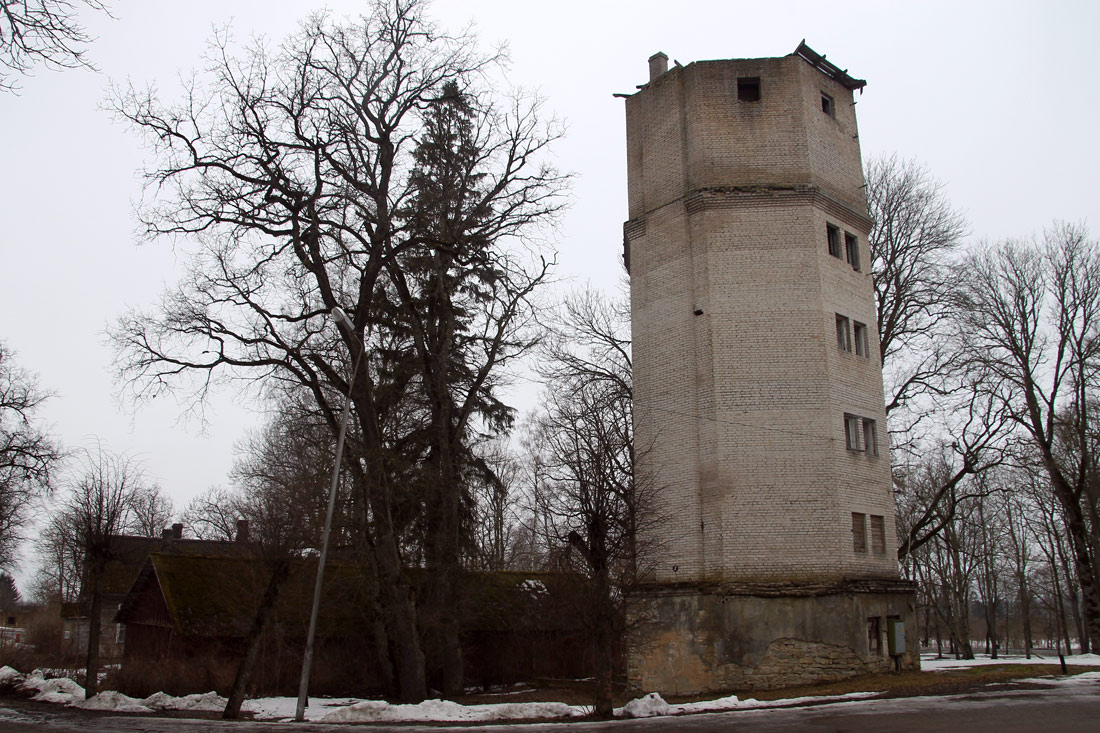 Винни, Muu