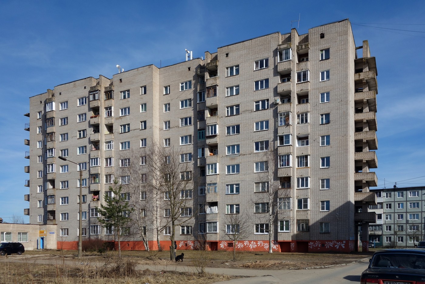 Великий Новгород, Улица 20 Января, 6