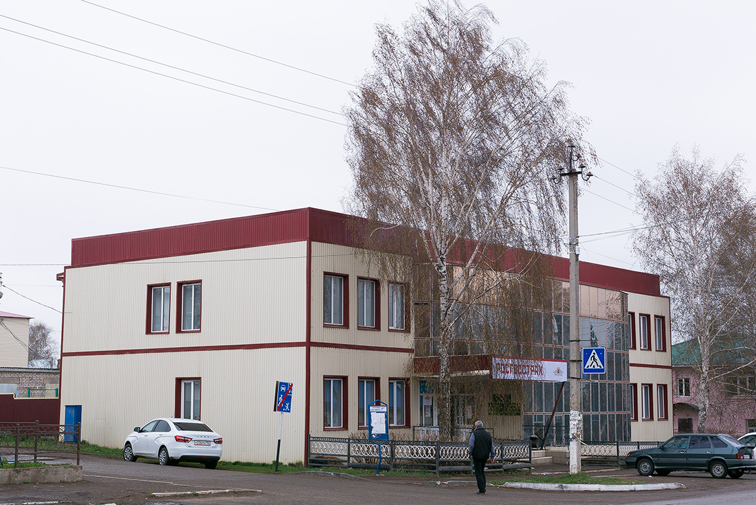 Благоварский район, прочие н.п., с. Языково, улица Пушкина, 13